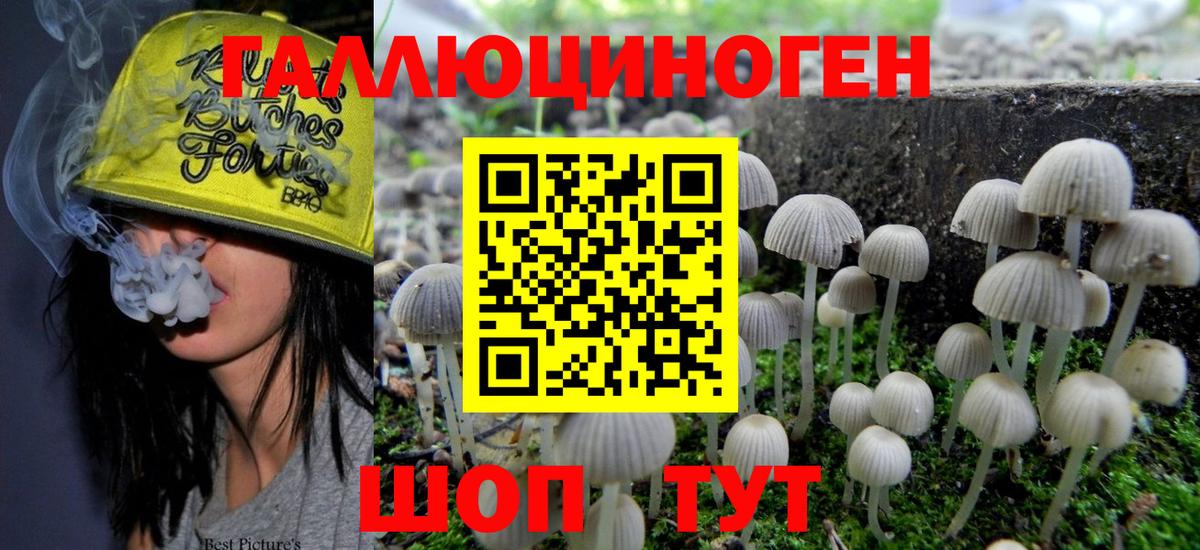 Псилоцибиновые грибы GOLDEN TEACHER Белебей