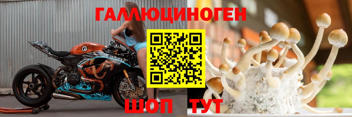 Псилоцибиновые грибы Psilocybe  Псилоцибиновые грибы Psilocybine cubensis  Белебей  Вход с VPN 